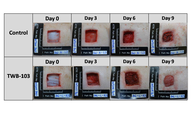 Transwell Biotech Co., Ltd.