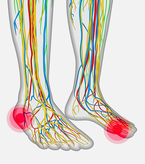 Transwell Biotech Co., Ltd.