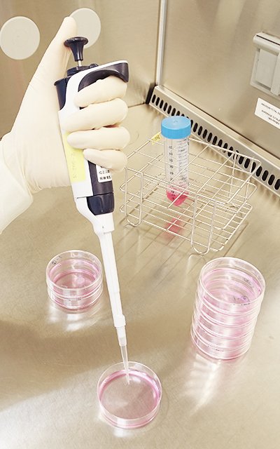 Transwell Biotech Co., Ltd.