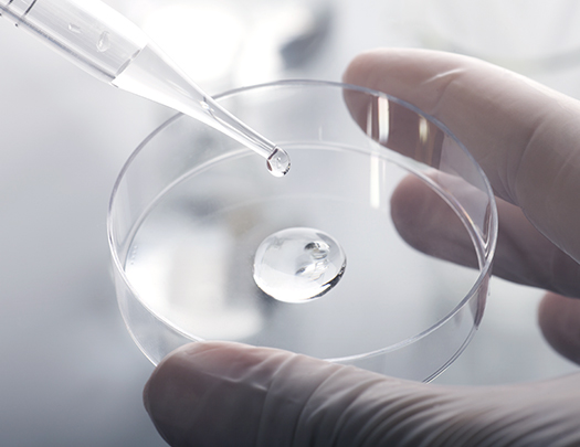 Transwell Biotech Co., Ltd.