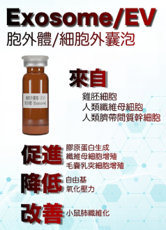 胞外體/細胞外囊泡