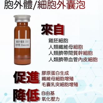 胞外體/細胞外囊泡