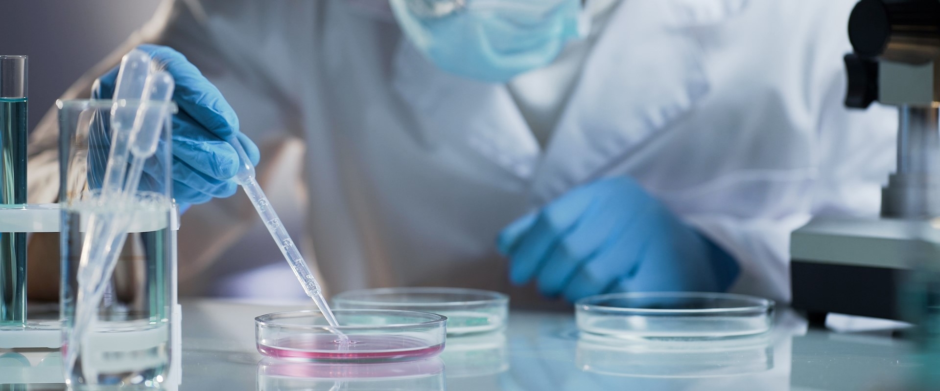 再生醫療產品的技術領航者